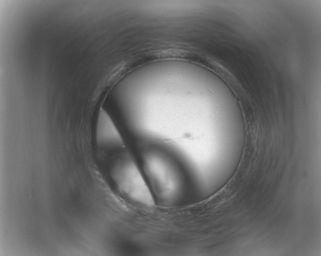X0000062920729200601131451