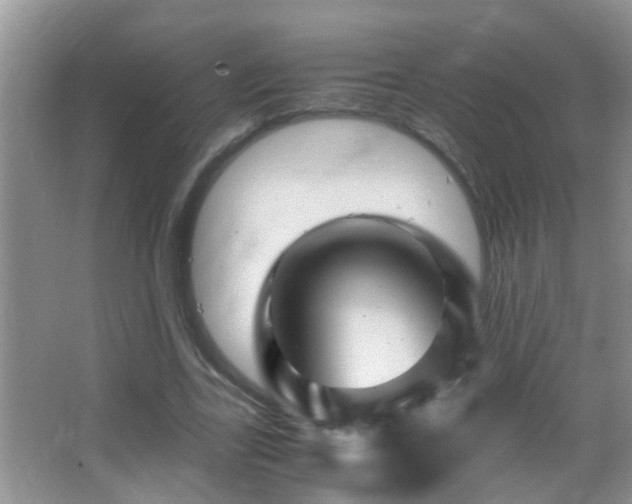 X0000062920731200601131451