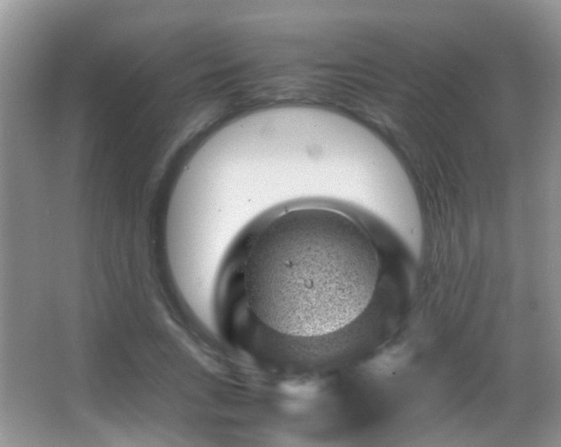X0000062920735200601131451
