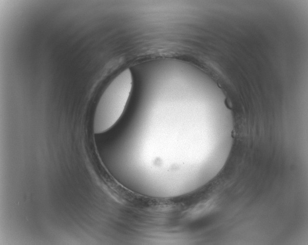 X0000062920738200601131451