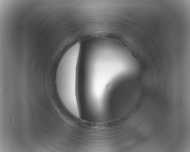 X0000062920742200601131451