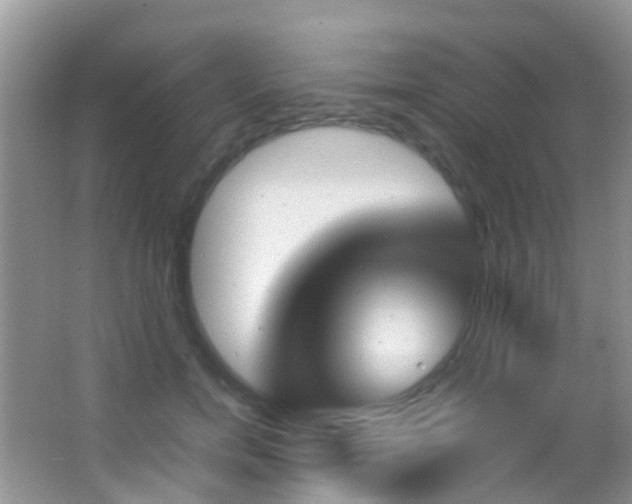 X0000062920750200601131451