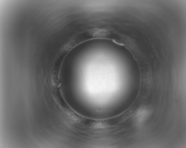 X0000062920755200601131452