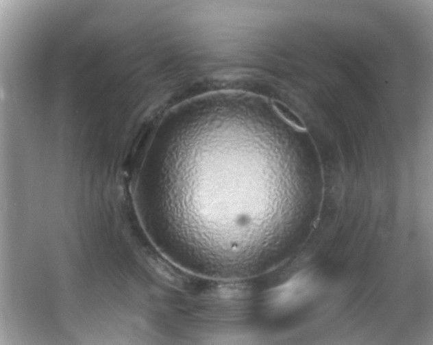 X0000062920758200601131452