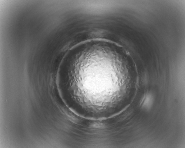 X0000062920759200601131452