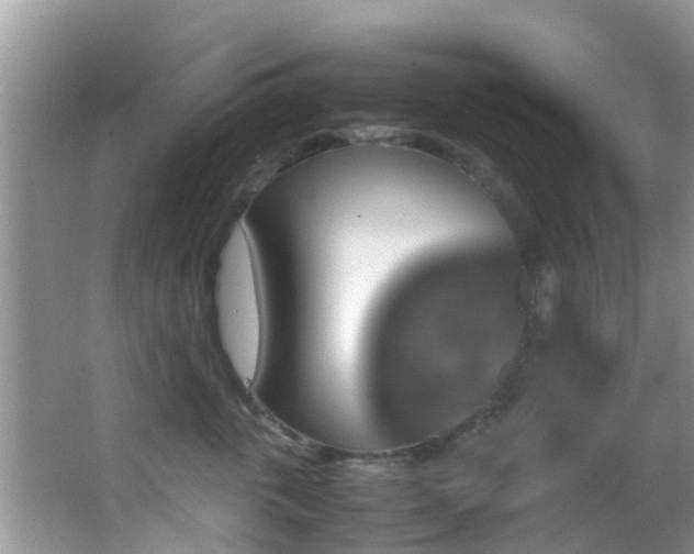 X0000062920763200601131452