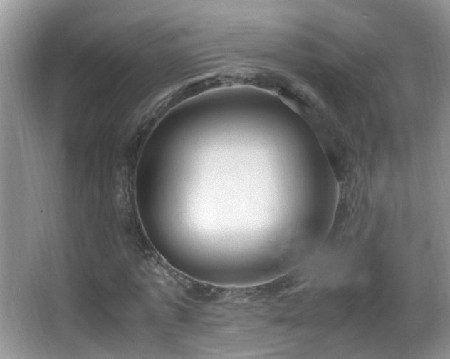 X0000062920773200601131451