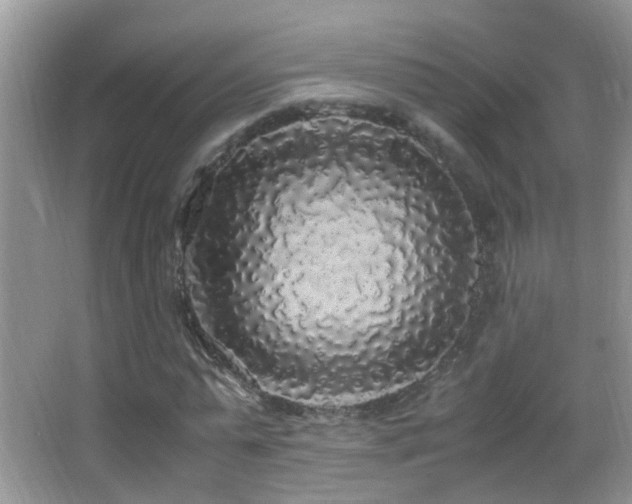 X0000062920775200601131451