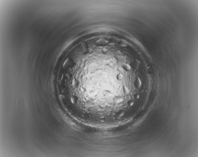 X0000062920783200601131451