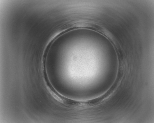 X0000062920787200601131451