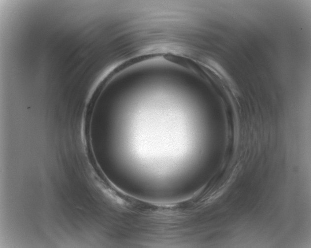 X0000062920788200601131451