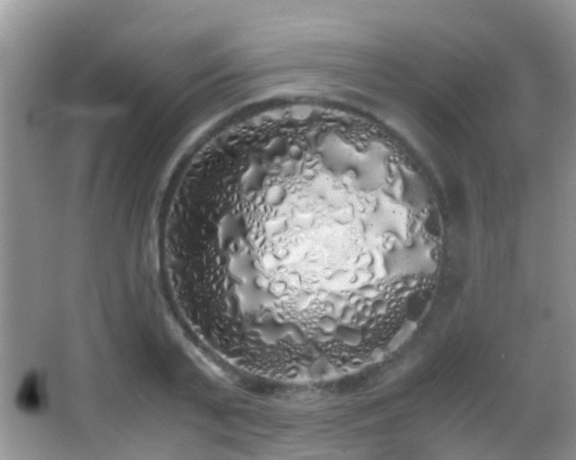 X0000062920791200601131451