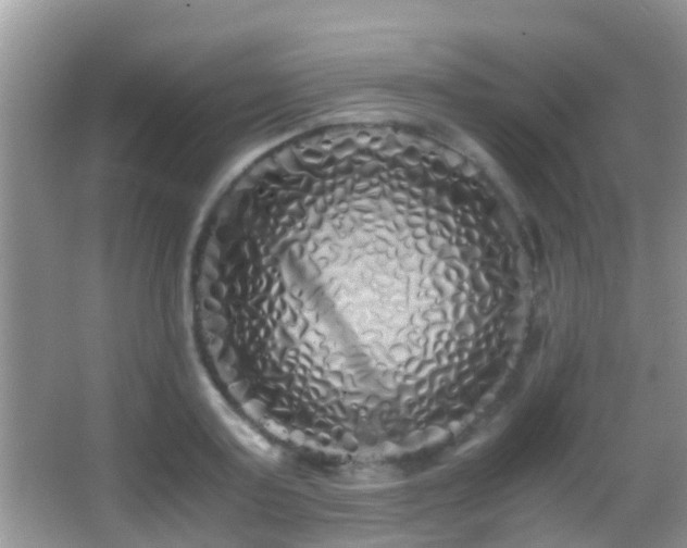 X0000062920795200601131451
