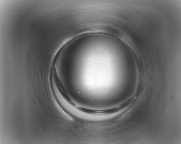X0000062920797200601131451
