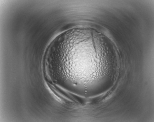 X0000062920803200601131450