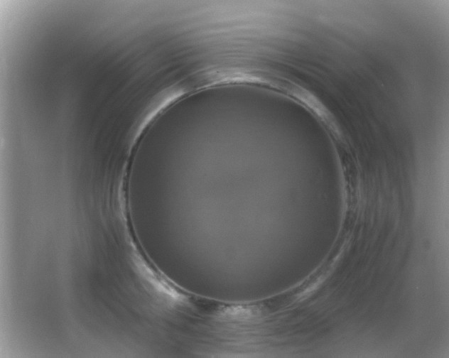 X0000062920806200601131450
