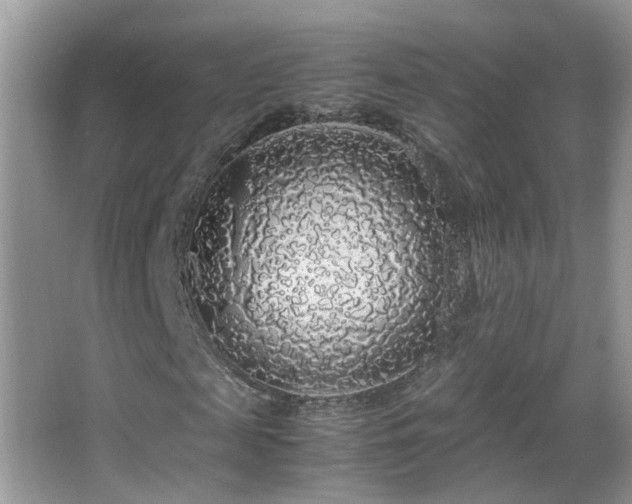 X0000062920817200601131449