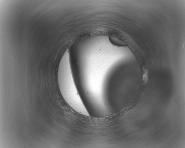 X0000062920819200601131449
