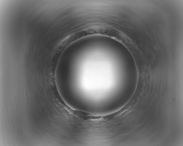 X0000062920822200601131449