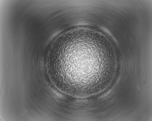 X0000062920825200601131450