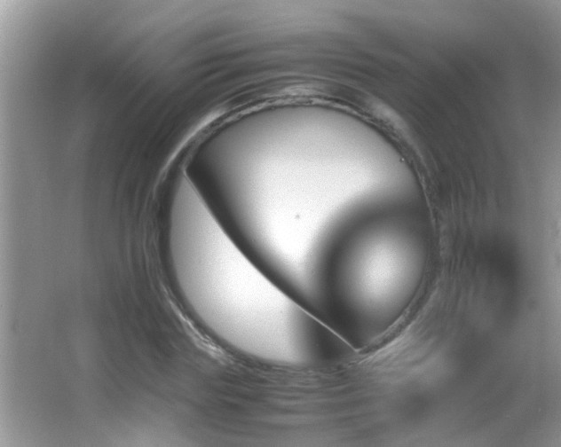 X0000062920827200601131450