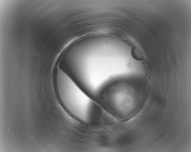 X0000062920835200601131450