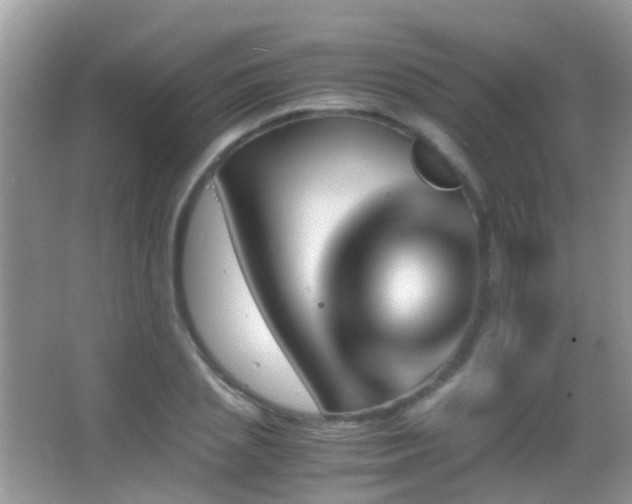 X0000062920837200601131450
