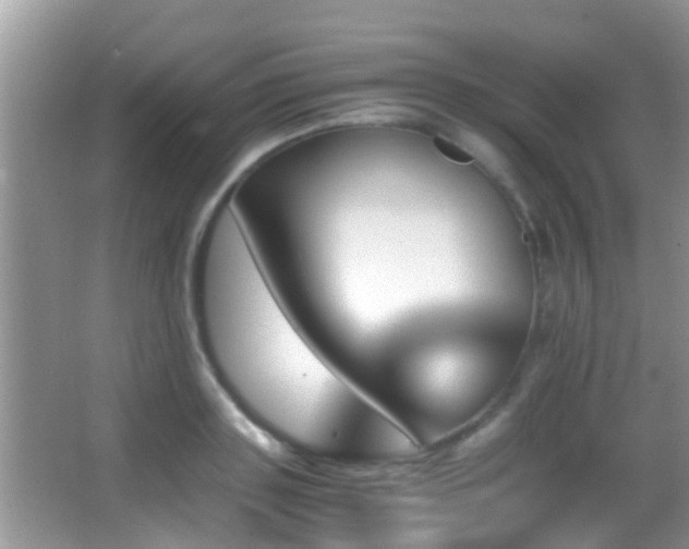 X0000062920843200601131450
