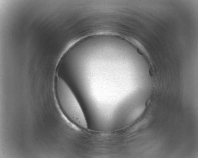 X0000062920847200601131450