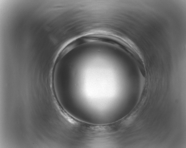 X0000062920862200601131450