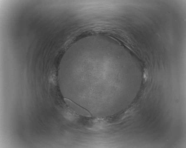 X0000062920867200601131449