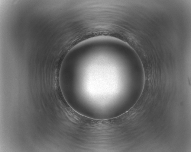 X0000062920868200601131449