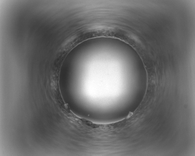 X0000062920869200601131449