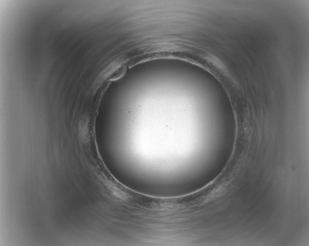 X0000062920873200601131449