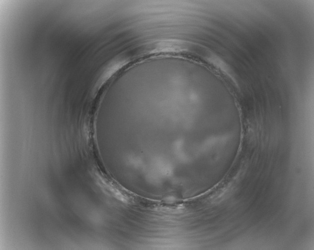 X0000062920874200601131449