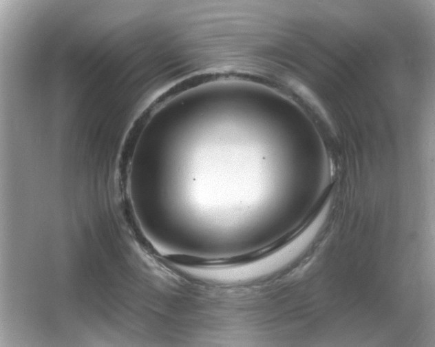 X0000062920876200601131449