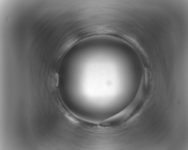 X0000062920889200601131449