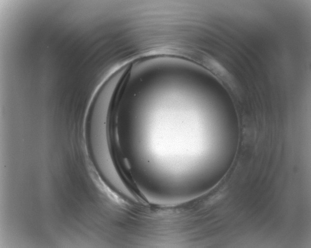 X0000062920892200601131449