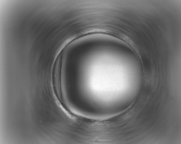 X0000062920898200601131449