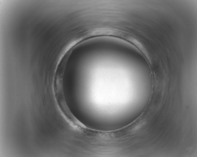 X0000062920901200601131449