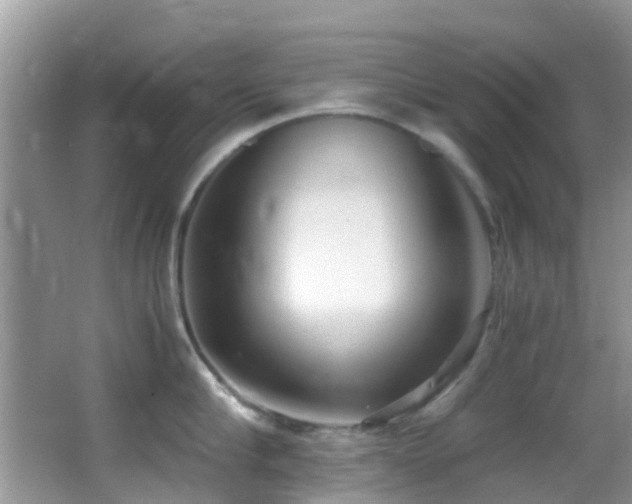 X0000062920910200601131449