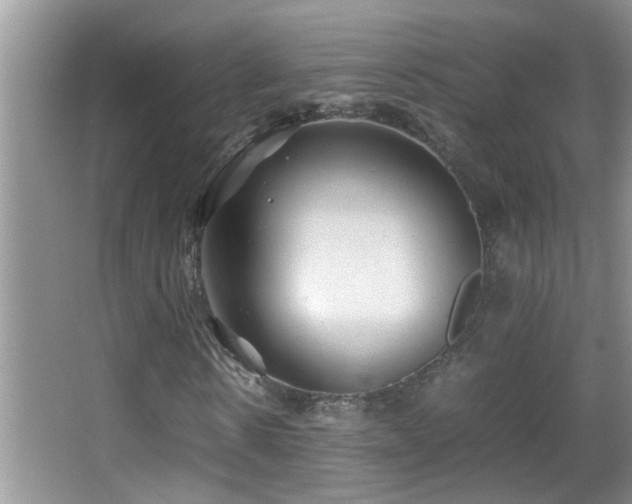 X0000062920914200601131448