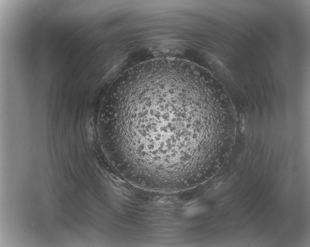 X0000062920915200601131448