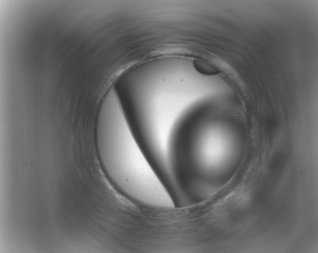 X0000062920937200601131448