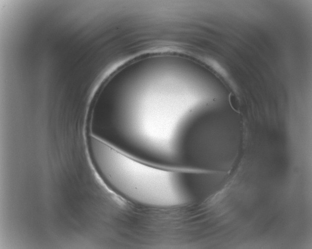 X0000062920943200601131448