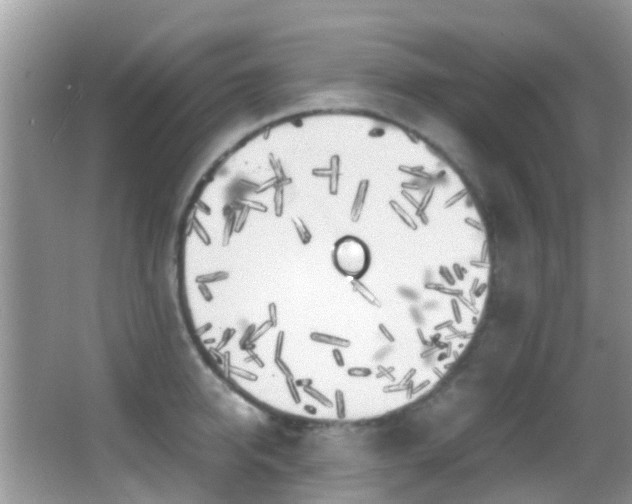 X0000062920950200601131448