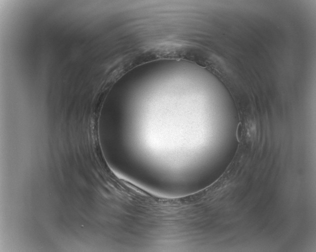 X0000062920964200601131448