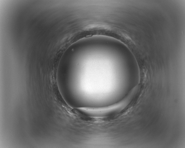 X0000062920965200601131448