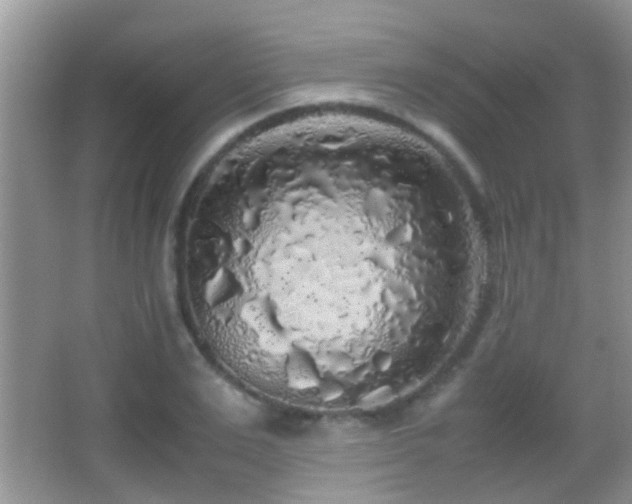 X0000062920983200601131447