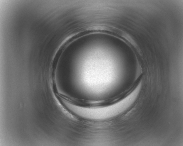 X0000062920984200601131447